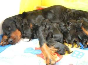 Dei Meute am 18.12.04