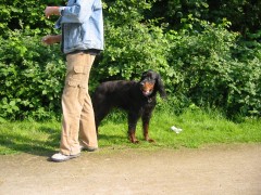 5,5 Monate - Aaron und Herrchen