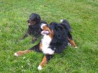 56 Monate - Bibo und Walentin