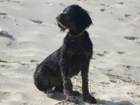 19 Wochen - AM BAGGERSEE - Bibo v�llig versandet