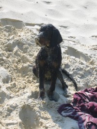 19 Wochen - AM BAGGERSEE - Bibo v�llig versandet