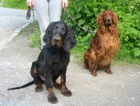 21 Wochen - Pablo und Bibo