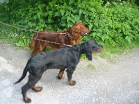 21 Wochen - Pablo und Bibo