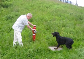 Rainer, Bibo und der Hydrant